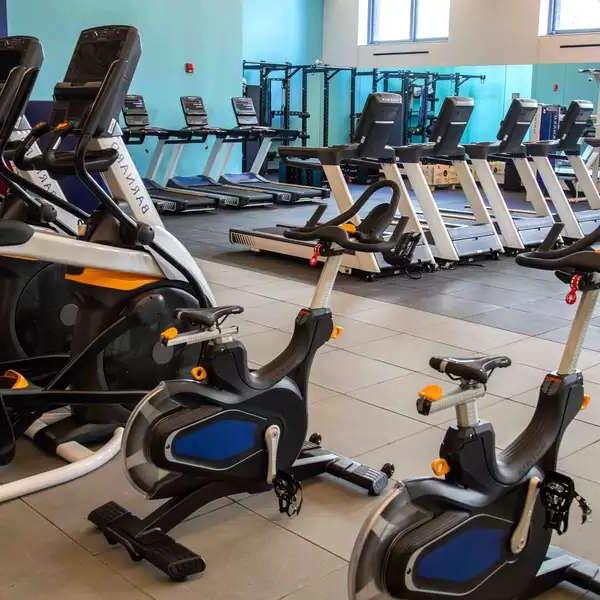 Cardio equipment in the gym including elliptical machines, bikes, and treadmills